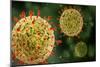 Microscopic View of Herpes Virus-null-Mounted Art Print