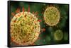 Microscopic View of Herpes Virus-null-Framed Stretched Canvas