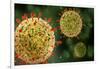 Microscopic View of Herpes Virus-null-Framed Art Print