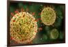 Microscopic View of Herpes Virus-null-Framed Art Print