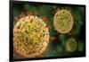 Microscopic View of Herpes Virus-null-Framed Art Print