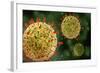 Microscopic View of Herpes Virus-null-Framed Art Print