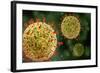 Microscopic View of Herpes Virus-null-Framed Art Print