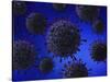 Microscopic View of Herpes Virus-null-Stretched Canvas