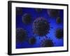 Microscopic View of Herpes Virus-null-Framed Art Print