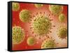 Microscopic View of Herpes Virus-null-Framed Stretched Canvas