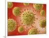 Microscopic View of Herpes Virus-null-Framed Art Print