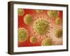 Microscopic View of Herpes Virus-null-Framed Art Print