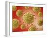 Microscopic View of Herpes Virus-null-Framed Art Print