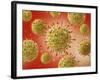 Microscopic View of Herpes Virus-null-Framed Art Print