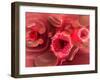 Microscopic View of Hiv Virus Inside the Lungs-null-Framed Art Print