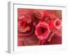 Microscopic View of Hiv Virus Inside the Lungs-null-Framed Art Print