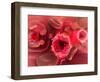 Microscopic View of Hiv Virus Inside the Lungs-null-Framed Art Print