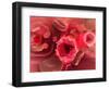 Microscopic View of Hiv Virus Inside the Lungs-null-Framed Art Print