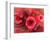 Microscopic View of Hiv Virus Inside the Lungs-null-Framed Art Print