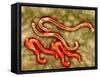 Microscopic View of Hookworm-null-Framed Stretched Canvas