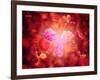 Microscopic View of Human Anitbodies with Red Blood Cells-null-Framed Art Print