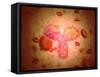 Microscopic View of Human Anitbodies with Red Blood Cells-null-Framed Stretched Canvas