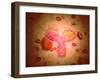 Microscopic View of Human Anitbodies with Red Blood Cells-null-Framed Art Print