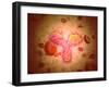 Microscopic View of Human Anitbodies with Red Blood Cells-null-Framed Art Print