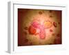 Microscopic View of Human Anitbodies with Red Blood Cells-null-Framed Art Print