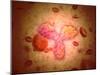 Microscopic View of Human Anitbodies with Red Blood Cells-null-Mounted Art Print