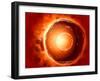 Microscopic View of Human B-Cells-null-Framed Art Print