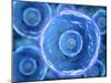 Microscopic View of Human B-Cells-null-Mounted Art Print