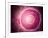 Microscopic View of Human B-Cells-null-Framed Art Print