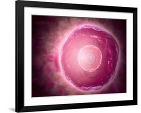 Microscopic View of Human B-Cells-null-Framed Art Print