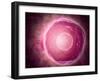 Microscopic View of Human B-Cells-null-Framed Art Print