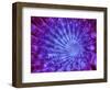 Microscopic View of Inner Nervous System-null-Framed Art Print