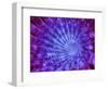 Microscopic View of Inner Nervous System-null-Framed Art Print