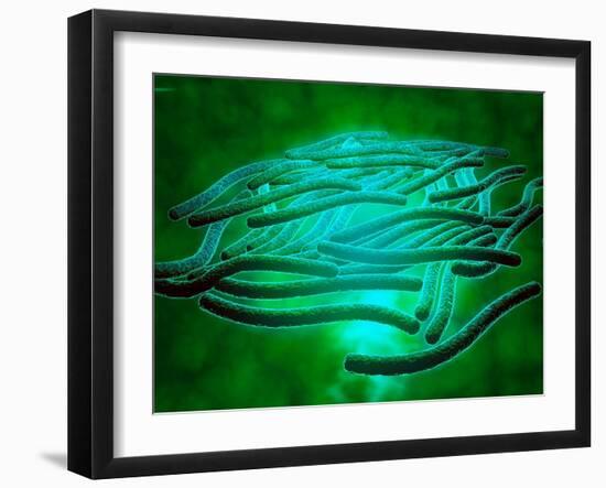 Microscopic View of Legionella Pneumophila-null-Framed Art Print