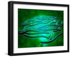 Microscopic View of Legionella Pneumophila-null-Framed Art Print