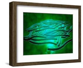 Microscopic View of Legionella Pneumophila-null-Framed Art Print