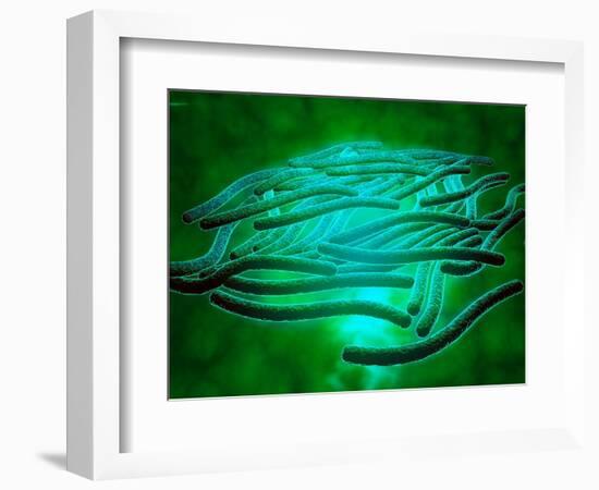 Microscopic View of Legionella Pneumophila-null-Framed Art Print