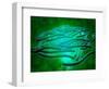 Microscopic View of Legionella Pneumophila-null-Framed Art Print