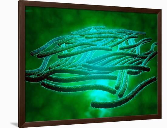 Microscopic View of Legionella Pneumophila-null-Framed Art Print