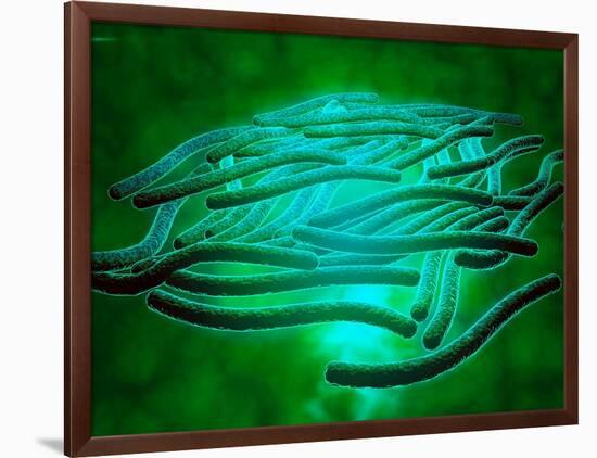 Microscopic View of Legionella Pneumophila-null-Framed Art Print