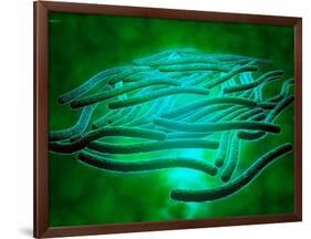 Microscopic View of Legionella Pneumophila-null-Framed Art Print