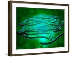 Microscopic View of Legionella Pneumophila-null-Framed Art Print