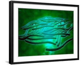 Microscopic View of Legionella Pneumophila-null-Framed Art Print