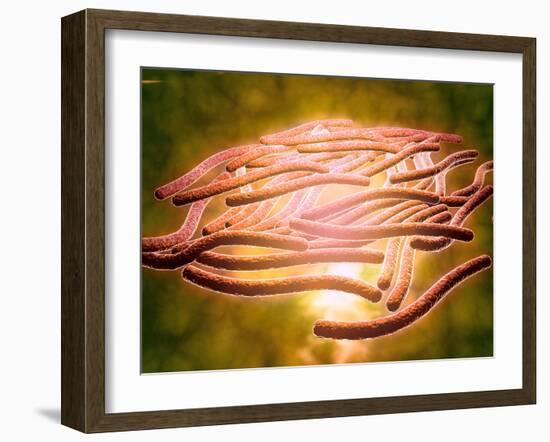 Microscopic View of Legionella Pneumophila-null-Framed Art Print