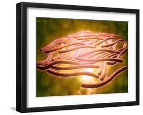 Microscopic View of Legionella Pneumophila-null-Framed Art Print