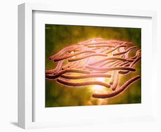 Microscopic View of Legionella Pneumophila-null-Framed Art Print