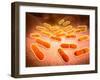 Microscopic View of Listeria Monocytogenes-null-Framed Art Print