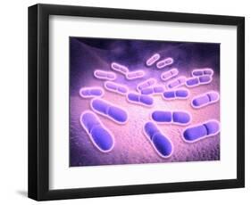 Microscopic View of Listeria Monocytogenes-null-Framed Art Print