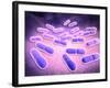 Microscopic View of Listeria Monocytogenes-null-Framed Art Print