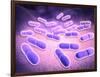 Microscopic View of Listeria Monocytogenes-null-Framed Art Print